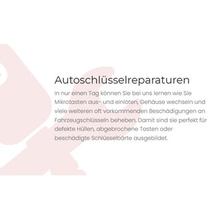 Schulung Tag 1: Fahrzeugschlssel Reparaturen